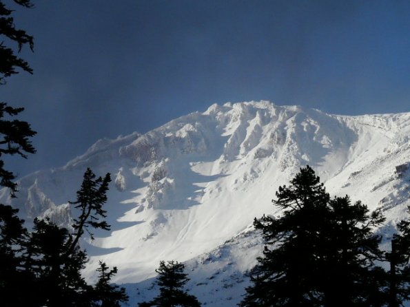 Mt. Shasta