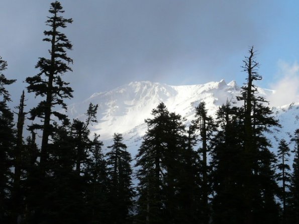 Mt. Shasta