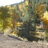 Fall colors