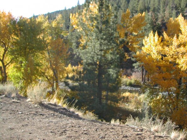 Fall colors