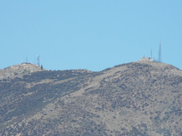 Peavine