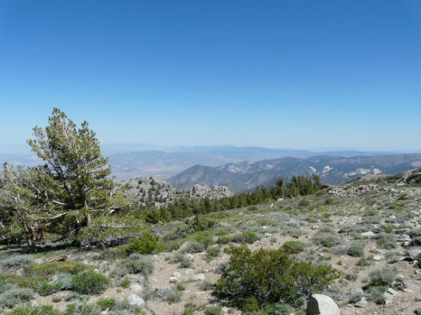 Looking SE