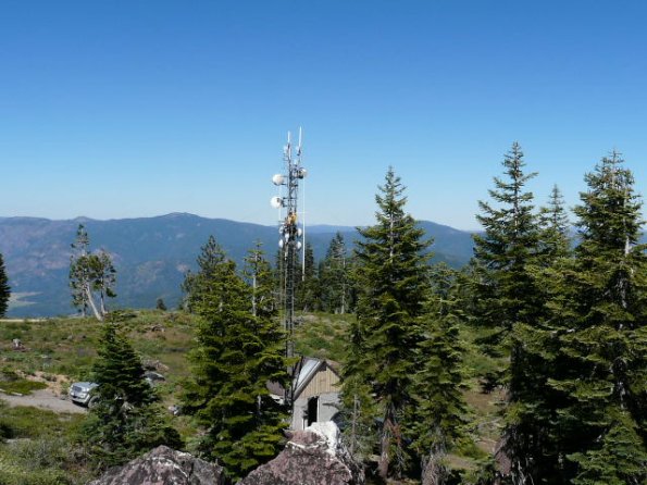 Tower amongst the trees