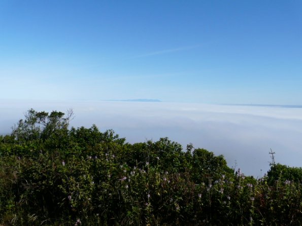 Fog line