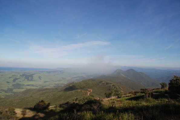 Fog forming